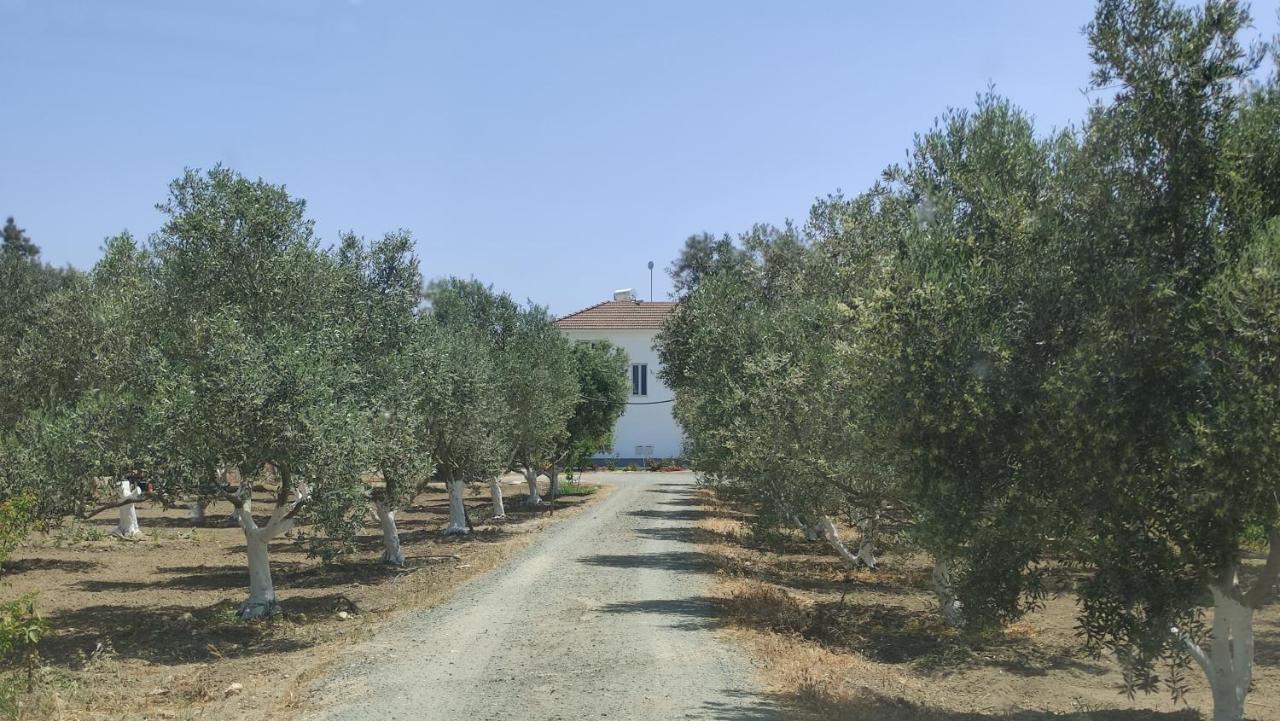 Kiti Village Villa, Cyprus, Salt-Water Pool, 6 Bedrooms, Larnaca Exterior foto
